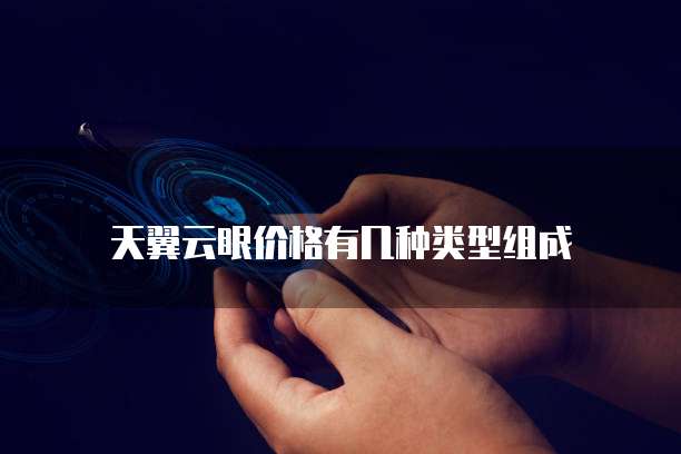 天翼云眼价格有几种类型组成