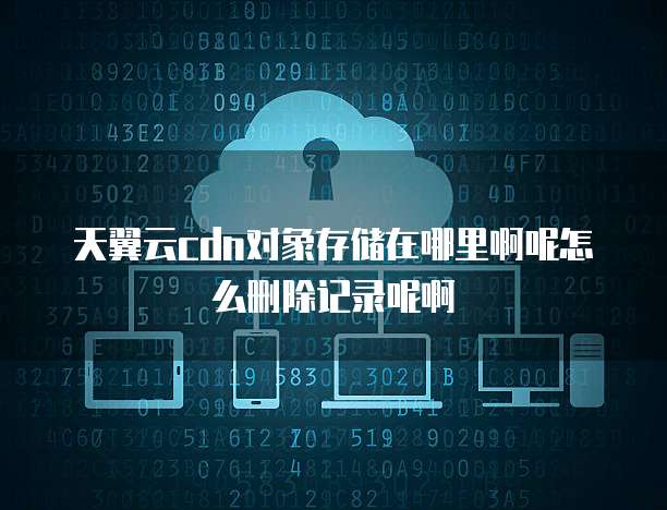 天翼云cdn对象存储在哪里啊呢怎么删除记录呢啊