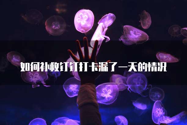 天翼云主机的登录方法是什么版本啊呢