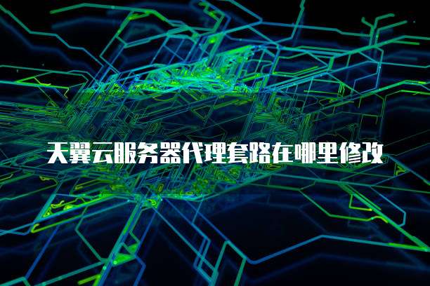 天翼云服务器代理套路在哪里修改