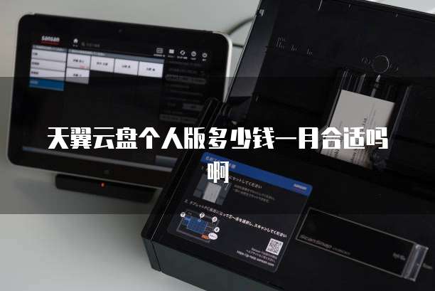 天翼云盘个人版多少钱一月合适吗啊