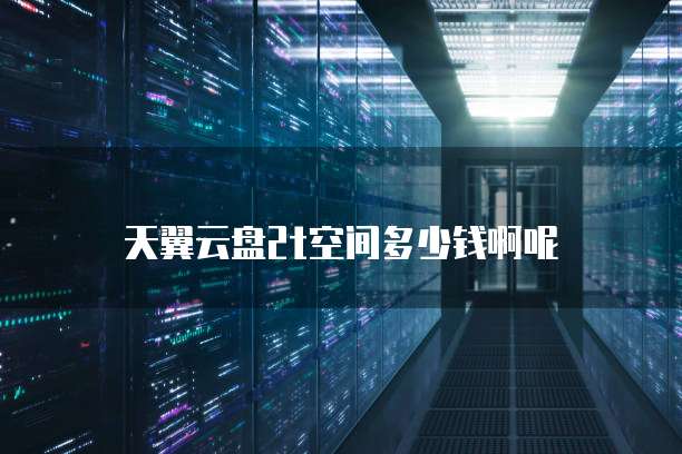 天翼云盘2t空间多少钱啊呢