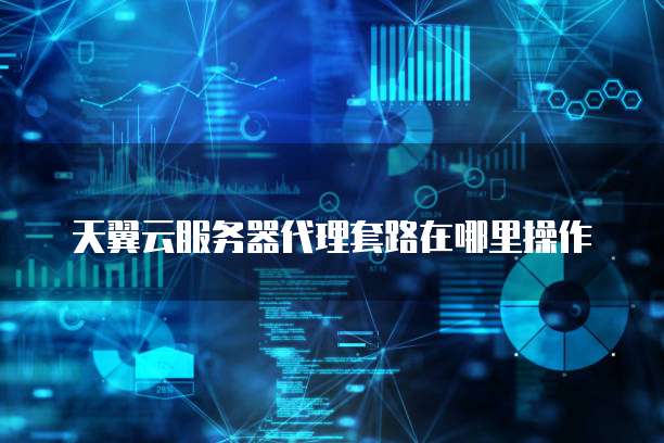 天翼云服务器代理套路在哪里操作