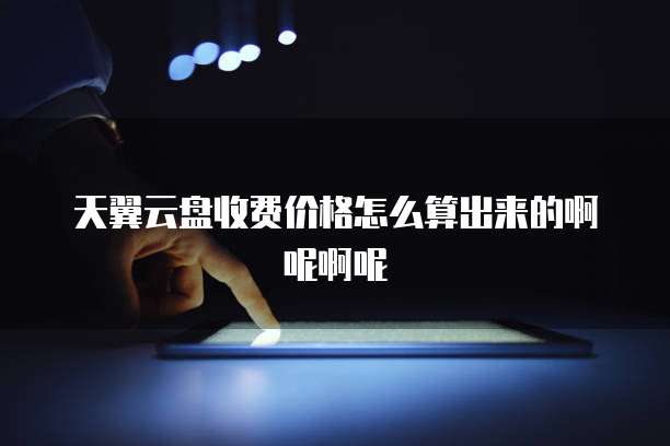 天翼云盘收费价格怎么算出来的啊呢啊呢