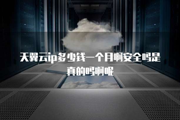 天翼云ip多少钱一个月啊安全吗是真的吗啊呢