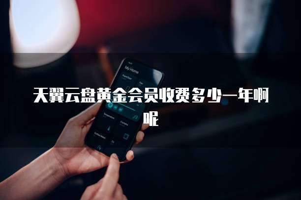 天翼云盘黄金会员收费多少一年啊呢