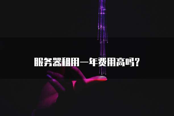 服务器租用一年费用高吗?