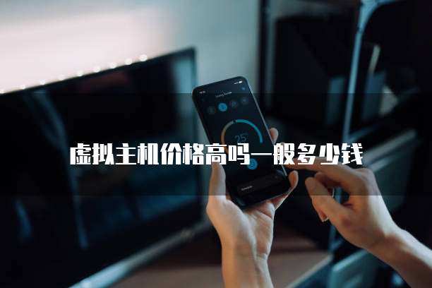 虚拟主机价格高吗一般多少钱