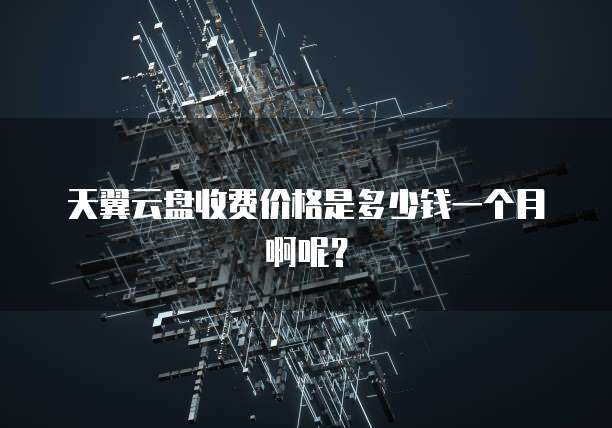 天翼云盘收费价格是多少钱一个月啊呢？