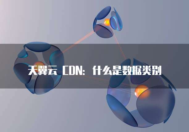 天翼云 CDN:什么是数据类别