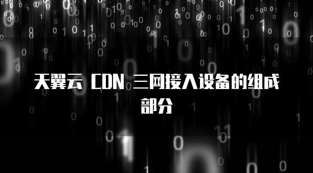 天翼云 CDN 三网接入设备的组成部分
