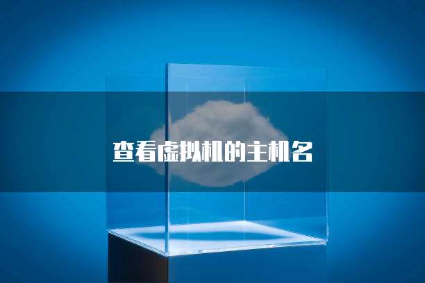 天翼云主机业务的特点是什么类型的网络