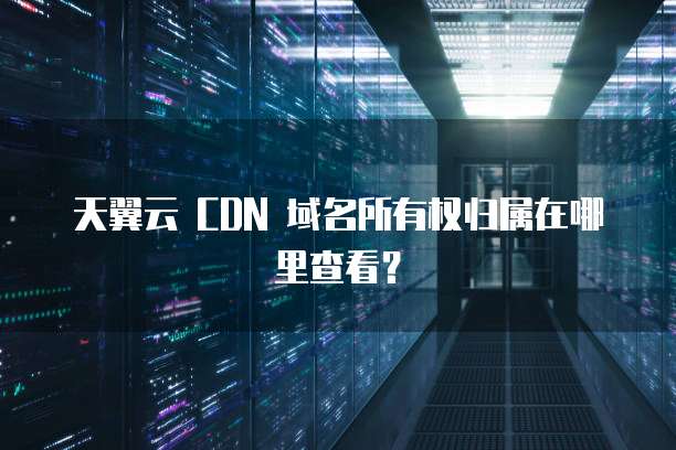 天翼云 CDN 域名所有权归属在哪里查看?