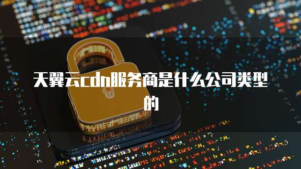 天翼云cdn服务商是什么公司类型的