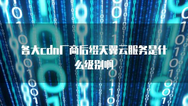 各大cdn厂商后缀天翼云服务是什么级别啊