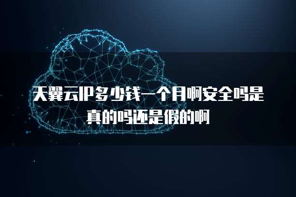 天翼云IP多少钱一个月啊安全吗是真的吗还是假的啊