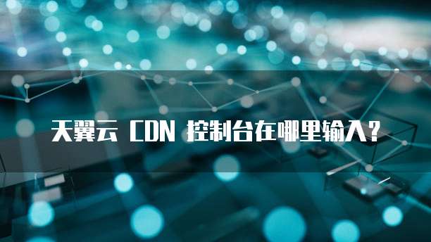 天翼云 CDN 控制台在哪里输入？