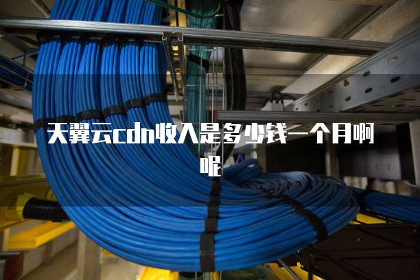 天翼云cdn收入是多少钱一个月啊呢