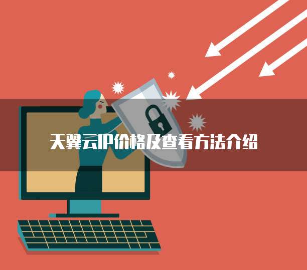 天翼云IP价格及查看方法介绍