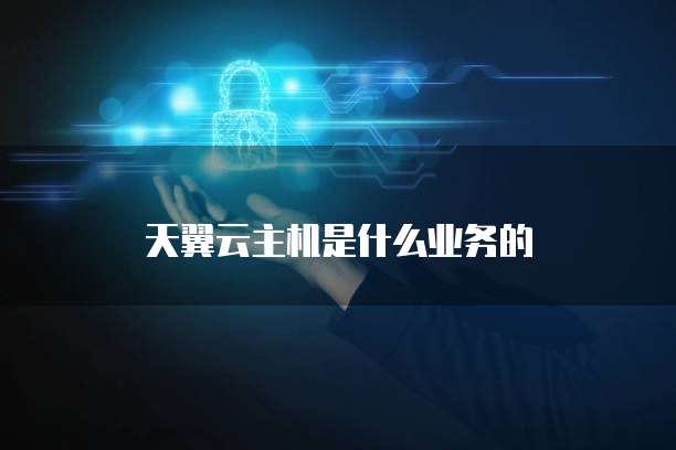 天翼云主机是什么业务的