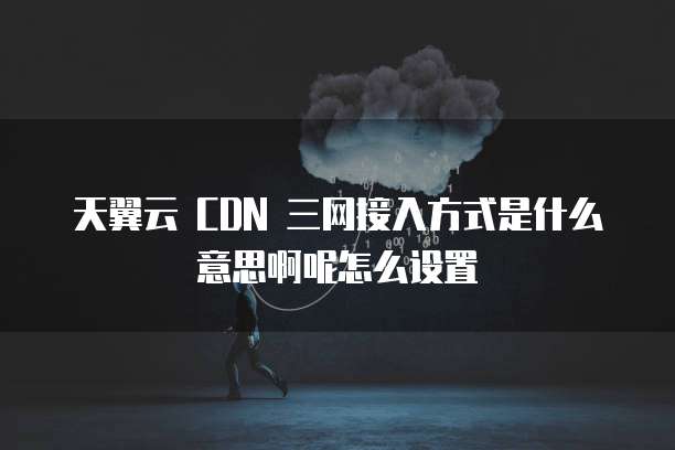 天翼云 CDN 三网接入方式是什么意思啊呢怎么设置