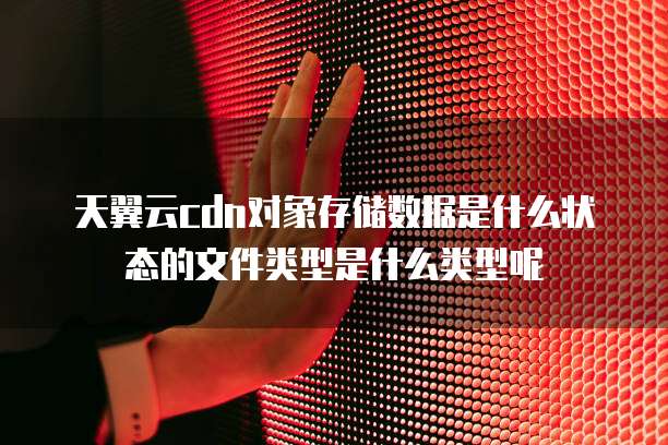 天翼云cdn对象存储数据是什么状态的文件类型是什么类型呢