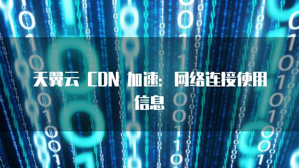 天翼云 CDN 加速:网络连接使用信息