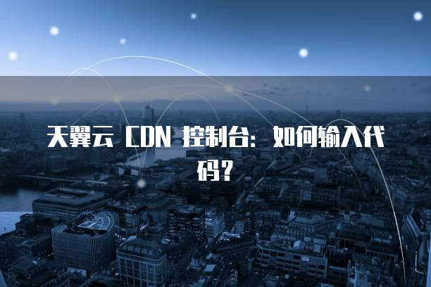 天翼云 CDN 控制台：如何输入代码？