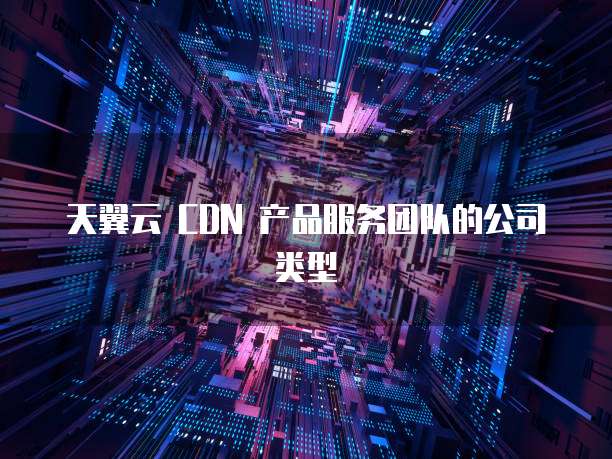 天翼云 CDN 产品服务团队的公司类型