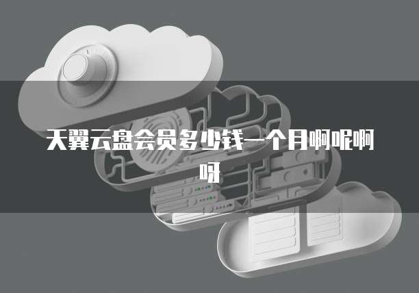 天翼云盘会员多少钱一个月啊呢啊呀
