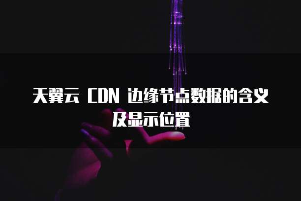 天翼云 CDN 边缘节点数据的含义及显示位置