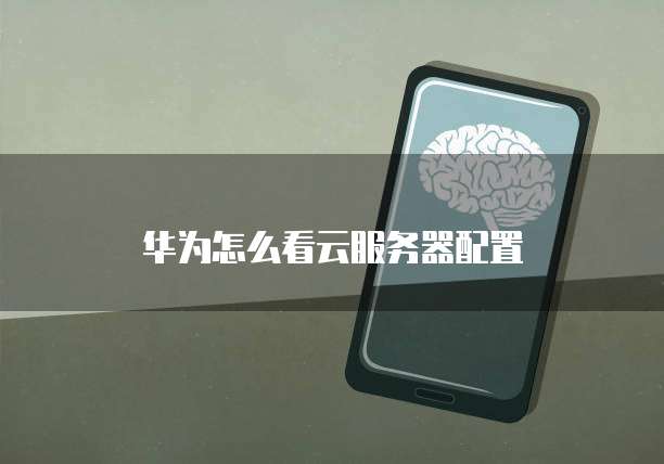 如何进天翼云的服务器网络连接设置界面打不开