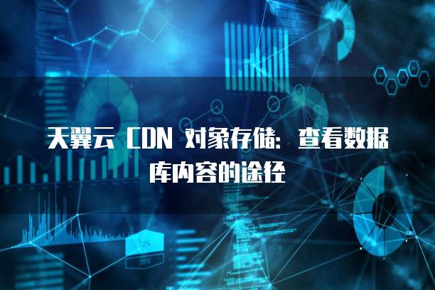 天翼云 CDN 对象存储：查看数据库内容的途径