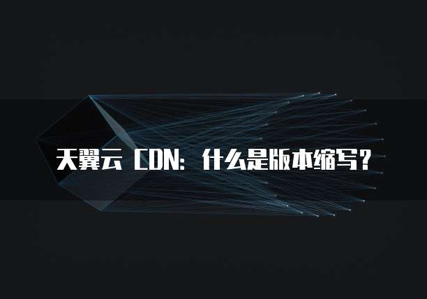 天翼云 CDN：什么是版本缩写？
