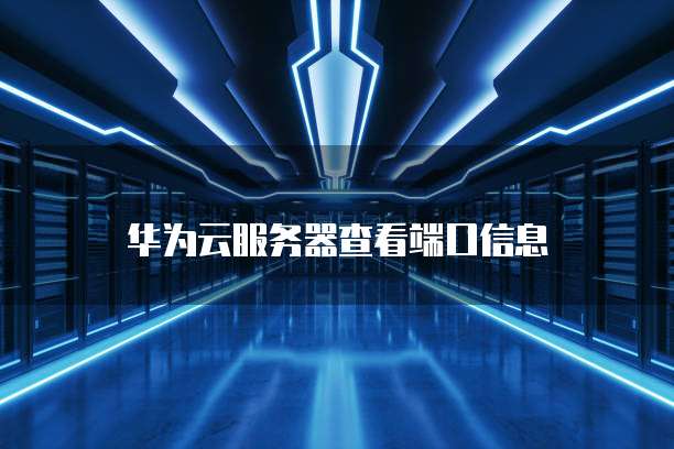 天翼云主机磁盘挂载在哪里找出来了啊怎么办