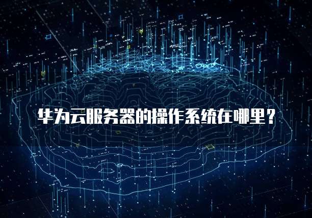 天翼云弹性IP独享吗?为什么修改后没有显示?