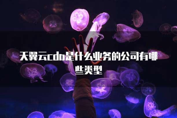 天翼云cdn是什么业务的公司有哪些类型