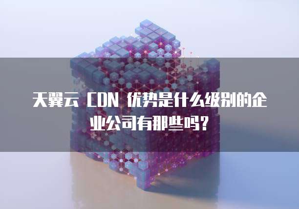 天翼云 CDN 优势是什么级别的企业公司有那些吗?