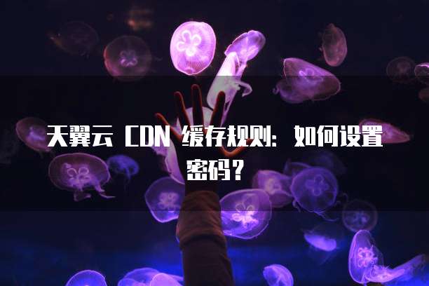 天翼云 CDN 缓存规则:如何设置密码?