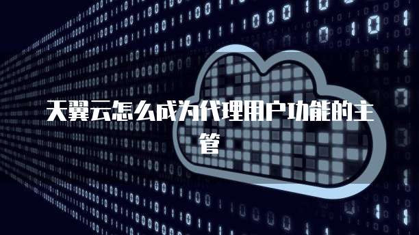 天翼云怎么成为代理用户功能的主管