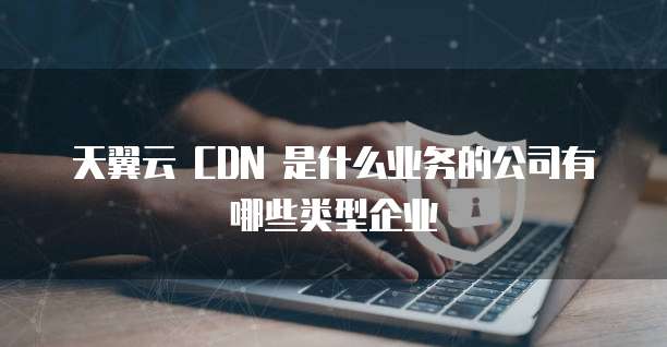 天翼云 CDN 是什么业务的公司有哪些类型企业