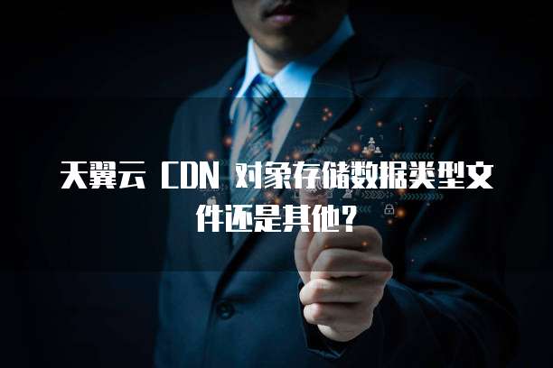 天翼云 CDN 对象存储数据类型文件还是其他?
