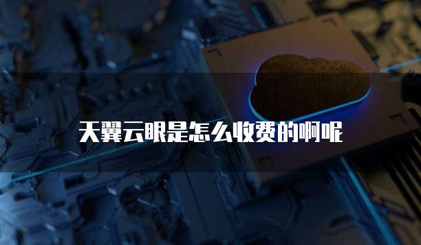 天翼云眼是怎么收费的啊呢