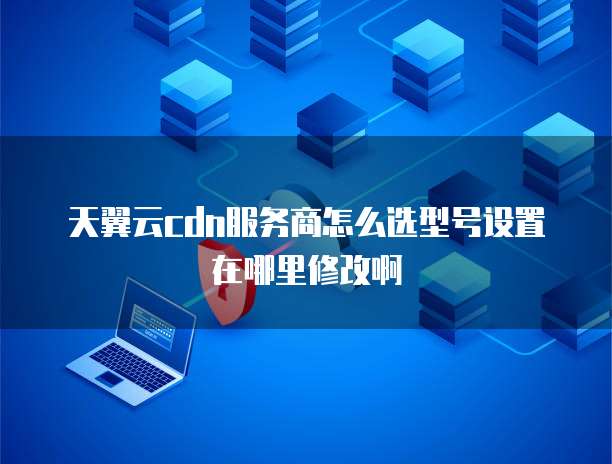 天翼云cdn服务商怎么选型号设置在哪里修改啊