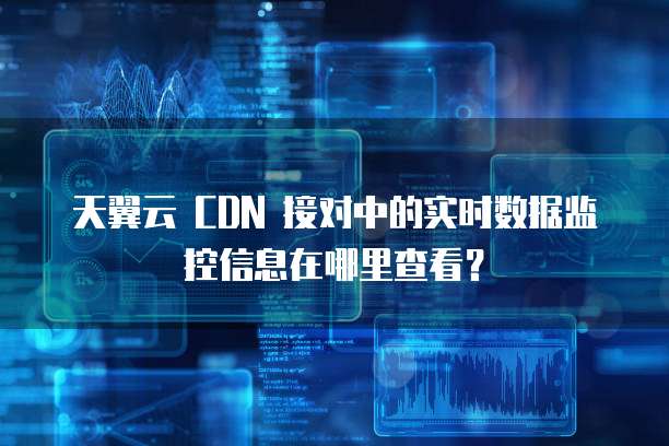 天翼云 CDN 接对中的实时数据监控信息在哪里查看?