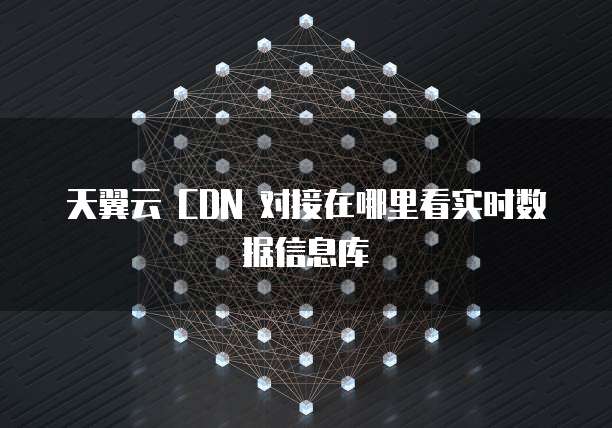 天翼云 CDN 对接在哪里看实时数据信息库