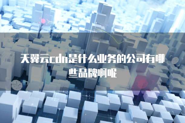 天翼云cdn是什么业务的公司有哪些品牌啊呢