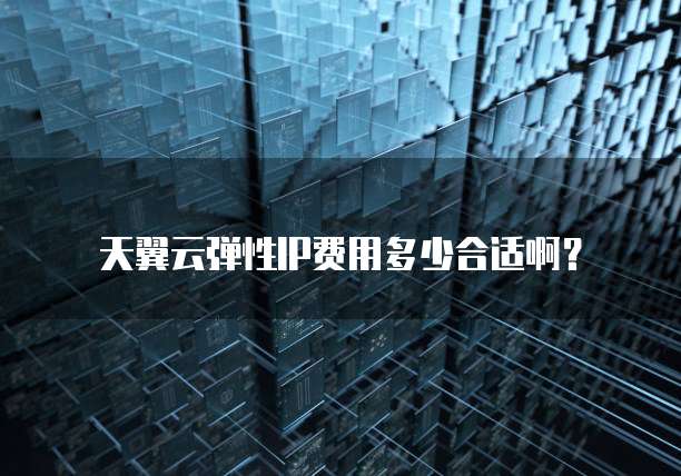天翼云弹性IP费用多少合适啊?
