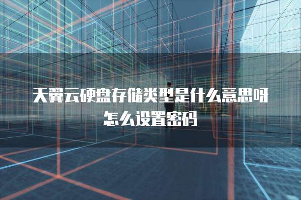 天翼云硬盘存储类型是什么意思呀怎么设置密码