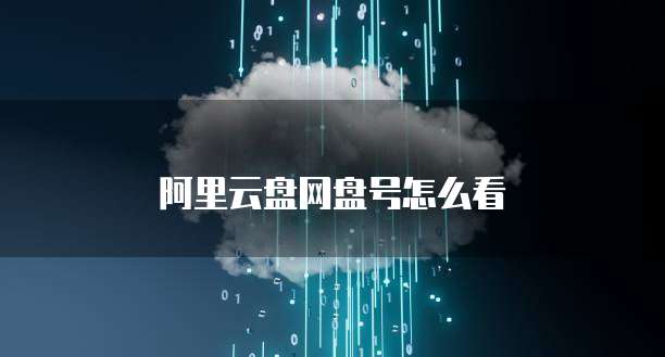 天翼云新加坡服务器费用高吗?为什么那么贵?